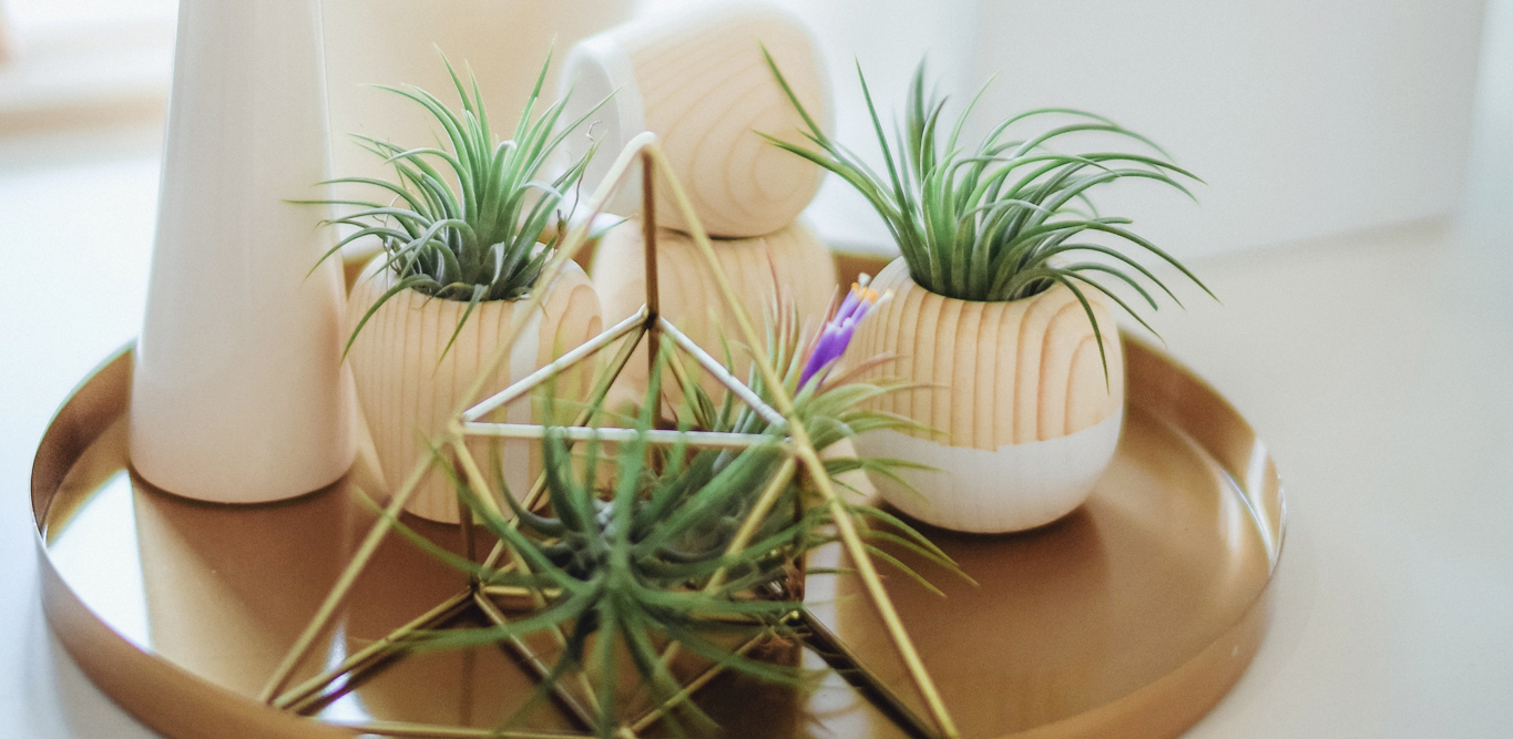 Everyday Jewelry Essentials: Pieces Every Wardrobe Needs